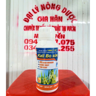 KALI BO SỮA ( 500ML )
