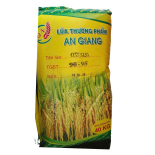 LÚA THƯƠNG PHẨM AN GIANG