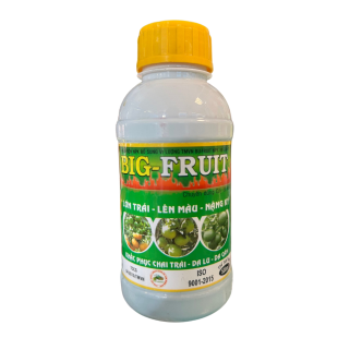 BIG FRUIT ( 500ml )