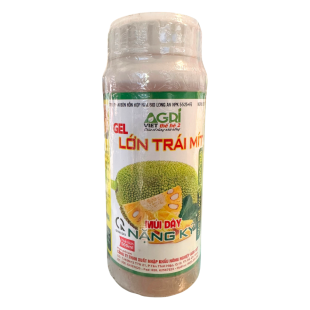 LỚN TRÁI MÍT ( 500ml )