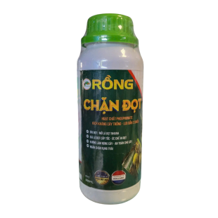 RỒNG CHẶN ĐỌT