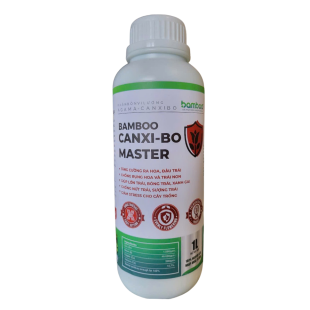 BAMBOO CANXIBO MASTER