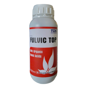 FULVIC TOP