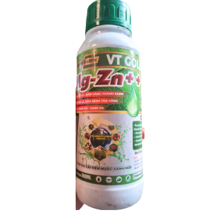 VT GOLD MG-ZN ++