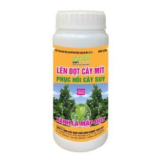 LÊN ĐỌT CÂY MÍT