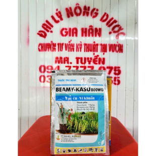 BEAMY KASU 800WG ( 25G )