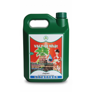 VALY 10 NHẬT