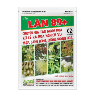 LÂN 89+