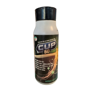 CUP 50 ( 500ML )