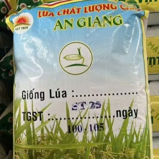 Giống lúa ST25 ( 40Kg; giá 14,5K/ kg)